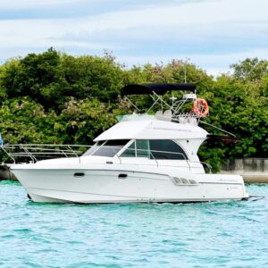 yacht thanh cong